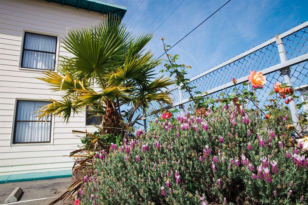 Mylo Hotel Daly City Eksteriør bilde